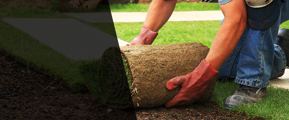 Thibodaux Landscapers